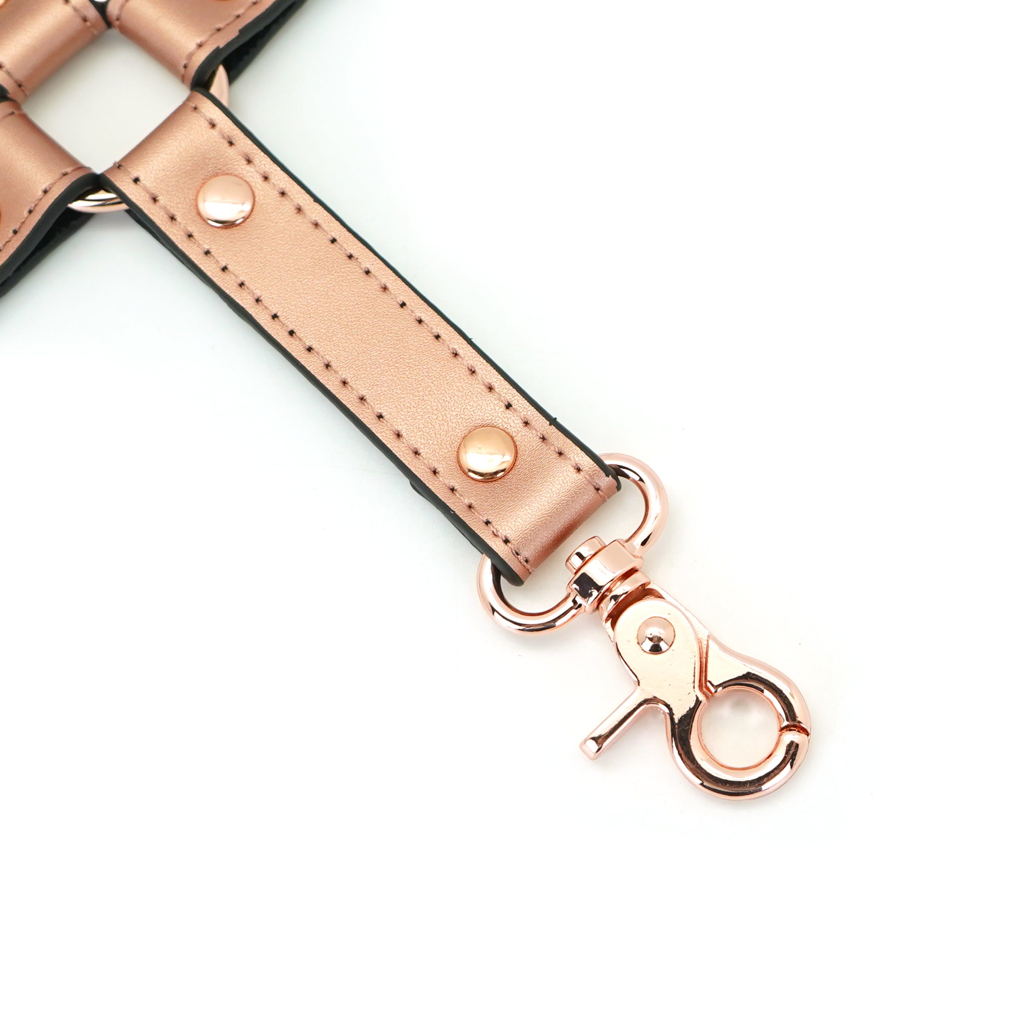 Hogtie - Memory: The Rose Gold Luxury BDSM Collection